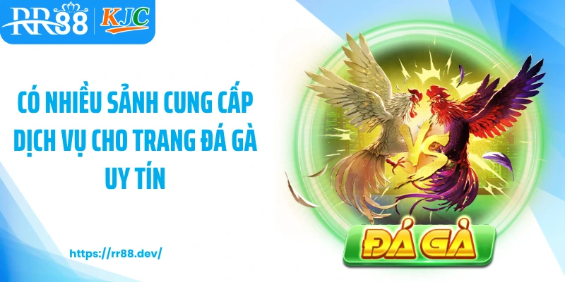 Có nhiều sảnh cung cấp dịch vụ cho trang đá gà uy tín