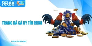 Trang đá gà uy tín